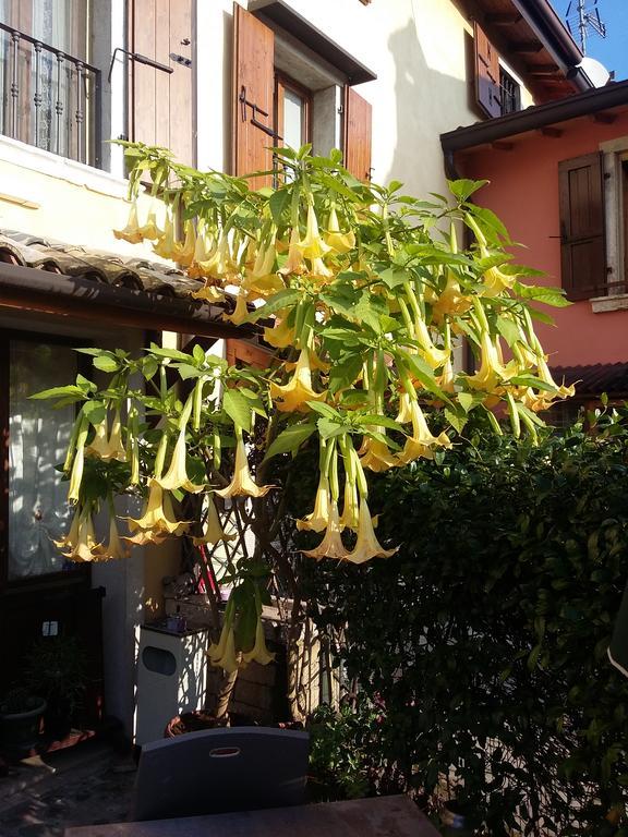 Bed and Breakfast La Carbonara 6 Bardolino Exterior foto